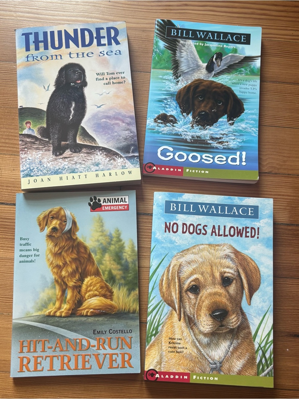 Lot of 4 Dog Themed Children's Fiction Chapter Books - Bill Wallace & More